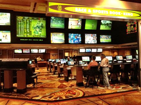 treasure bay sportsbook|Sports betting .